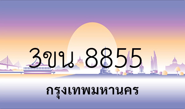 3ขน 8855